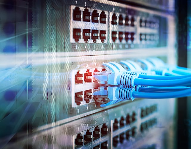 Back of a network switch with multiple blue cat-6 cables plugged-in